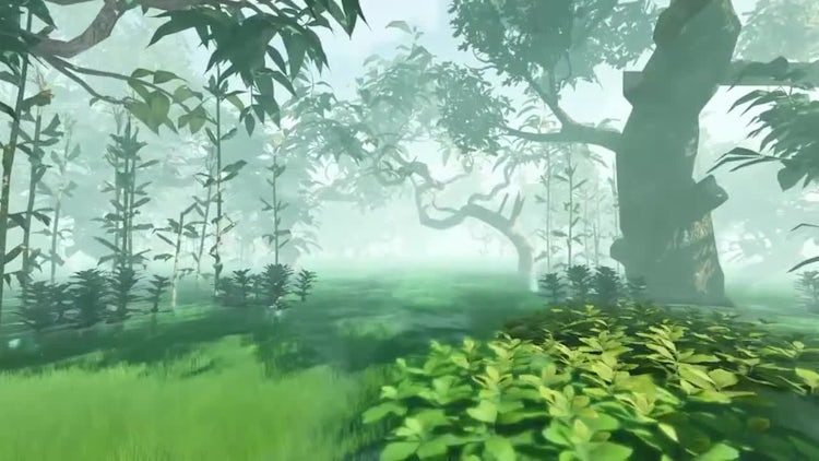 Movement On A Flooded Forest : Stock Motion Graphics