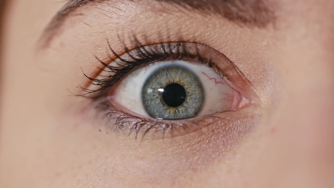human eyeballs