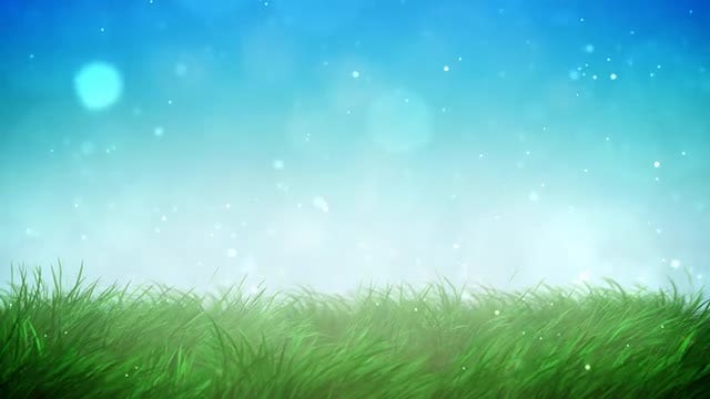 Sunny Grass Loop: Stock Motion Graphics