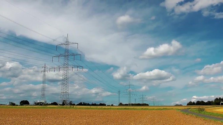 Field And Electric Poles: Stock Video