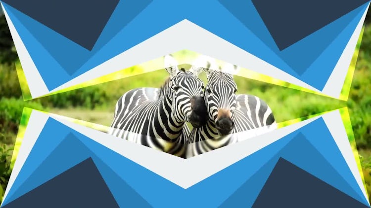 49 Transitions Pack: After Effects Templates