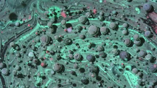 Bright Colors Bubbles Slow Motion Oil: Stock Video