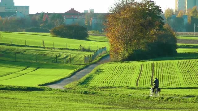 Bike Through Green Fields: Stock Video