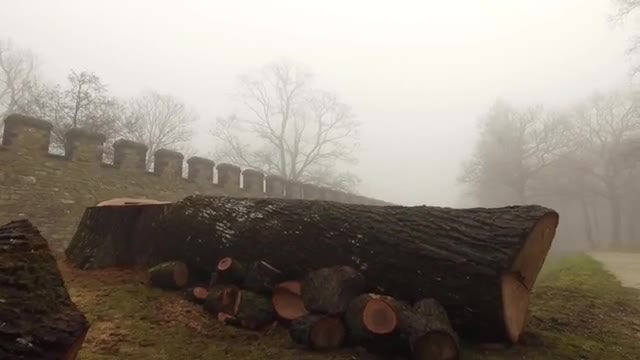Foggy Castle Grounds: Stock Video