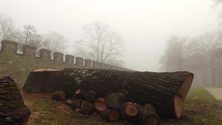 Foggy Castle Grounds: Stock Video