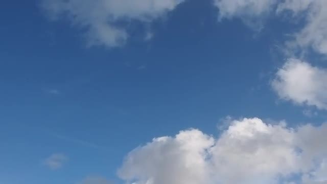 Looking Up At The Sky: Stock Video