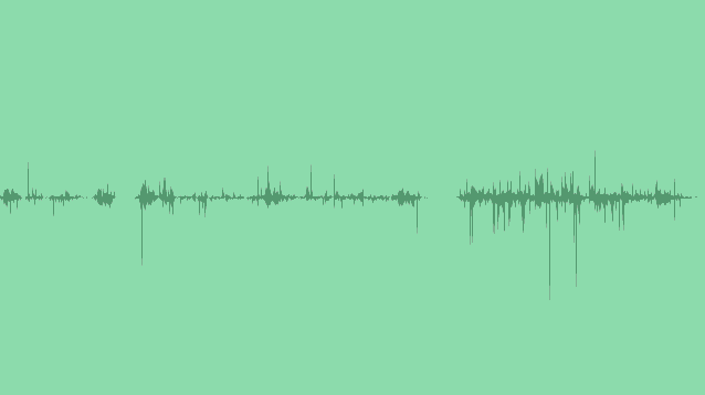 Crunching Twigs: Sound Effects