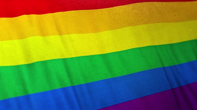 Transgender Bisexual Gay Pride Flag Loop - Stock Motion Graphics | Motion  Array