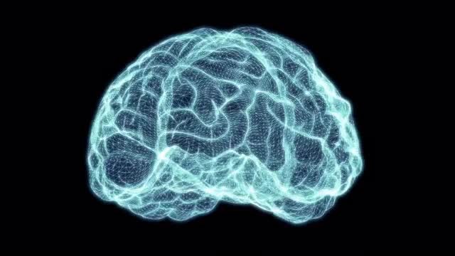 Holographic Grid Brain: Stock Motion Graphics