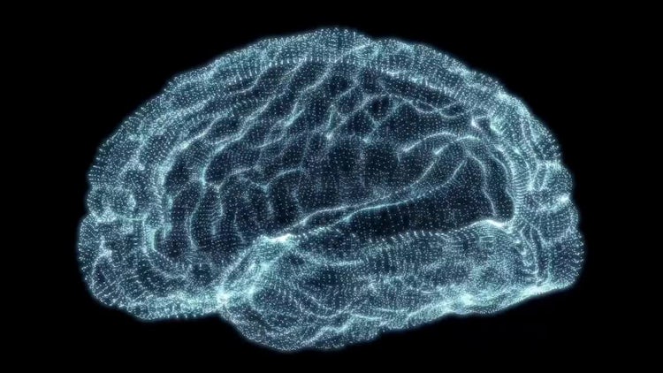 Holographic Particle Brain: Stock Motion Graphics