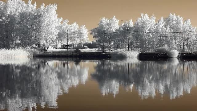 Infrared Finland: Cars On Motorway: Stock Video