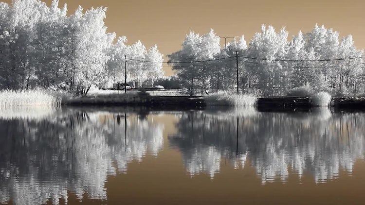 Infrared Finland: Cars On Motorway: Stock Video