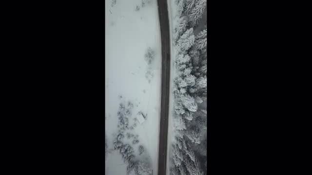 Vertical Footage Of A Car Driving: Stock Video