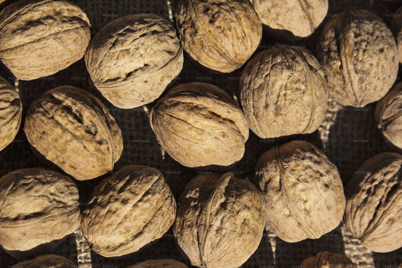 Group Of Walnuts: Stock Photos