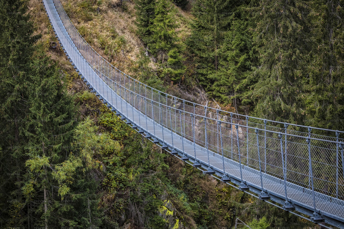 Suspended Bridge: Stock Photos