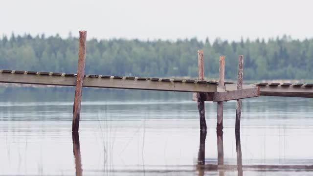 Summer Water Background 4k Loop: Stock Video