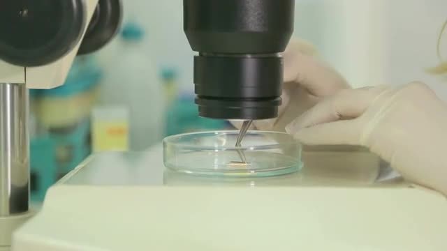 Research Laboratory: Stock Video