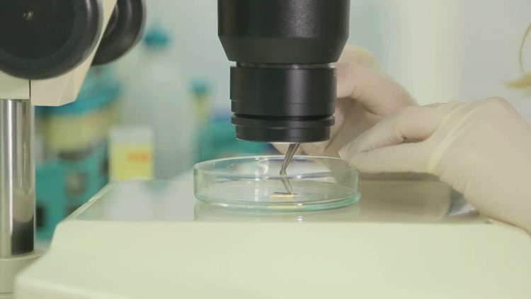 Research Laboratory: Stock Video