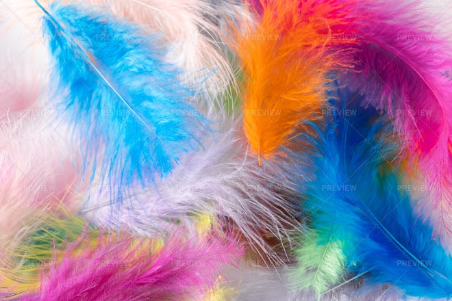 Jolly background of colored feathers Stock Photo by ©MamaPolina 68990387