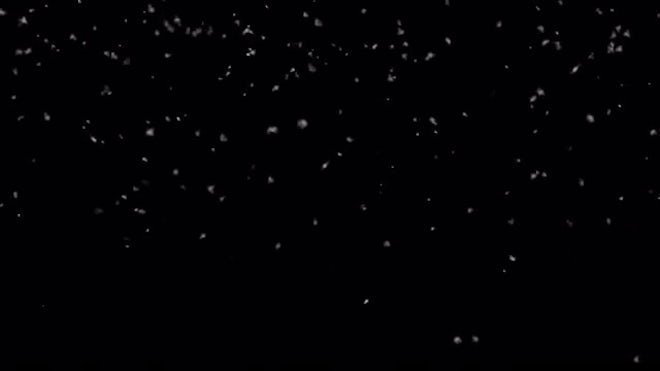 Light Snow Snowfall Loop - Stock Motion Graphics | Motion Array