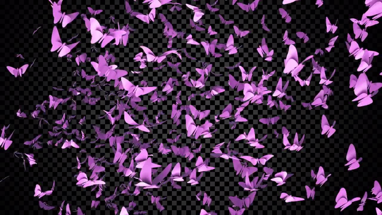 butterfly overlay