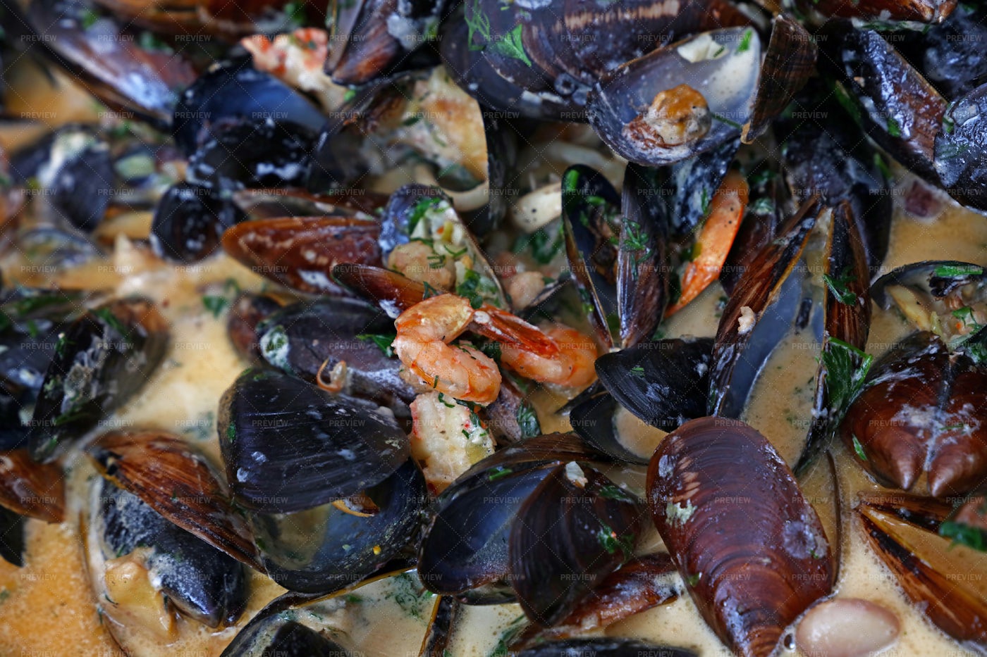 Steamed Roasted Mussels: Stock Photos
