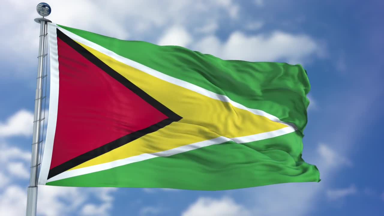 Guyana Flag Animation Stock Motion Graphics Motion Array