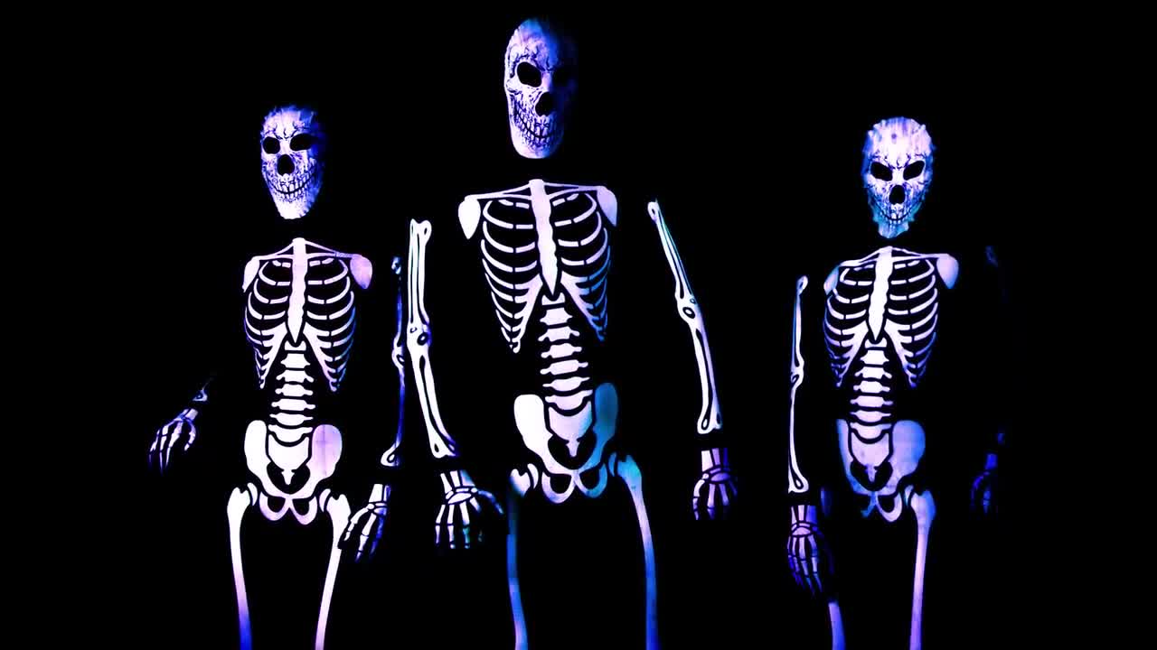 Best Spooky Scary Skeletons GIFs  Gfycat
