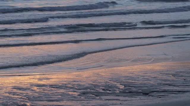 Tropical Beach Waves: Stock Video