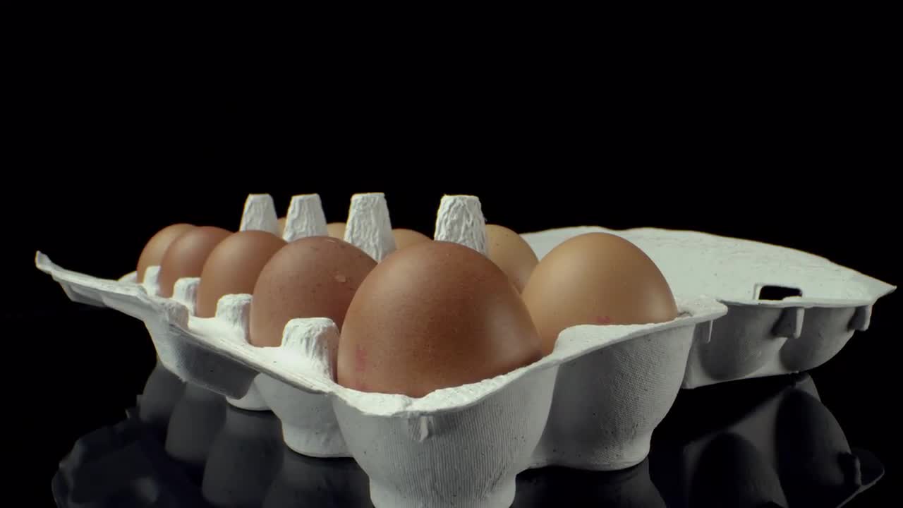 Rotating Egg Carton Macro Stock Video Motion Array