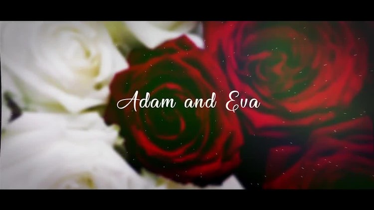 Cinematic Wedding Slideshow: After Effects Templates