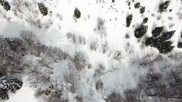 Snowy Mountain Aerial Shot: Stock Video