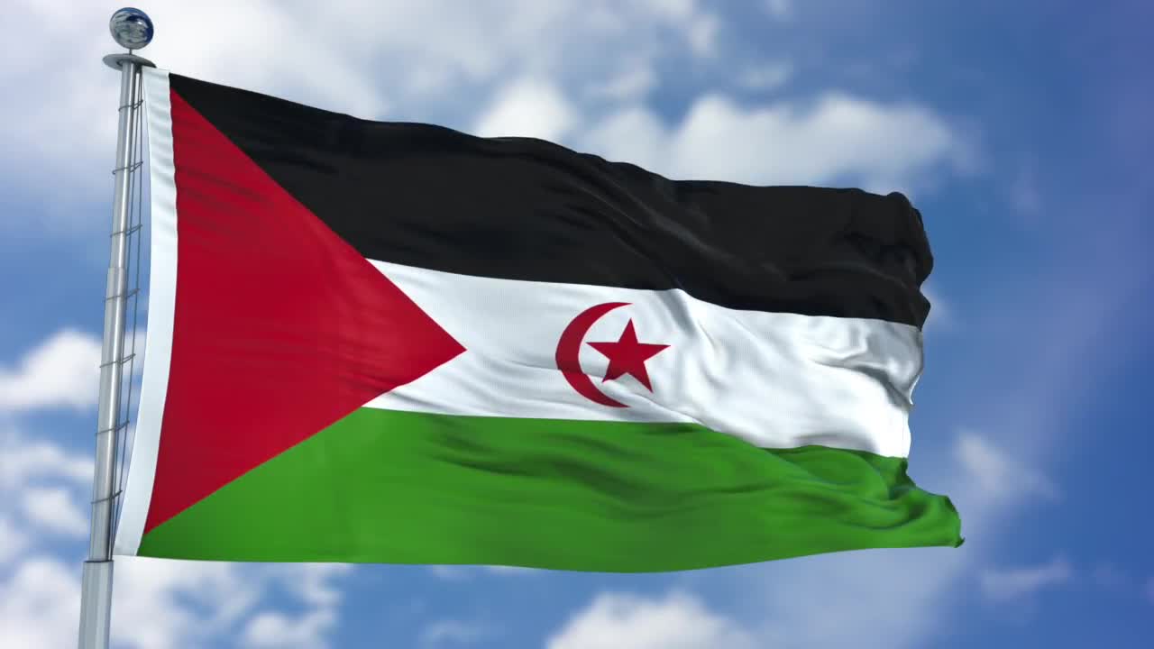 western-sahara-flag-animation-stock-motion-graphics-motion-array