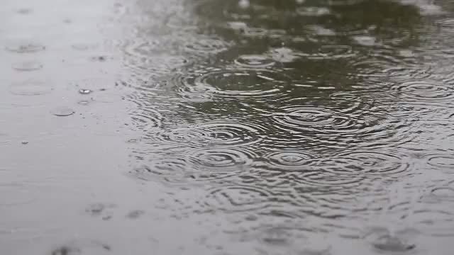 Rain On The Street: Stock Video