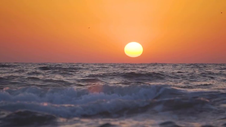 Sunset On The Sea Coast: Stock Video