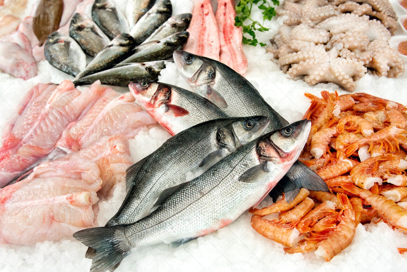 Assortment Of Seafood: Stock Photos