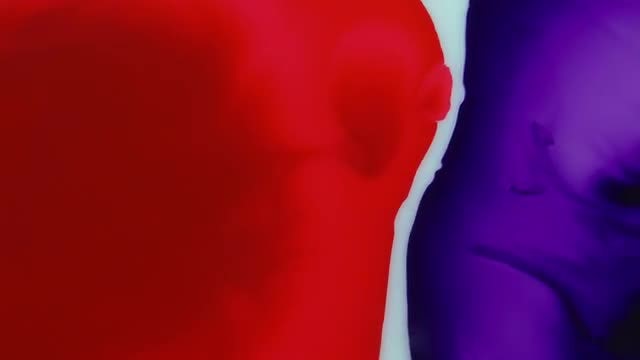 Red Overpowers Purple Oil Motion : Stock Video