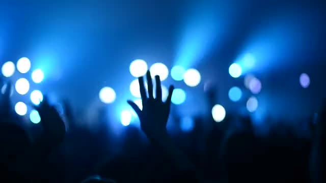 Crowd Partying At A Concert: Stock Video