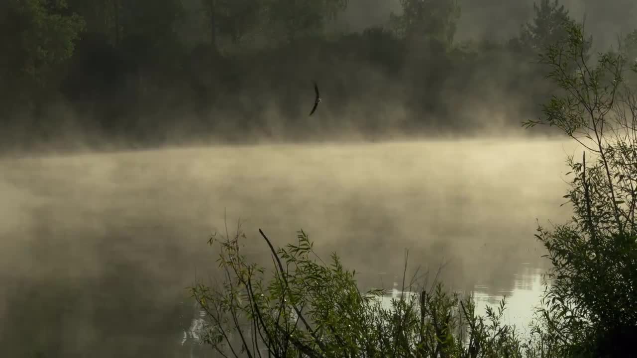 モーニング UPDATED STOCK!!!! CAPTIONED!!✓ NJOO LIPA CASH AU MKOPO