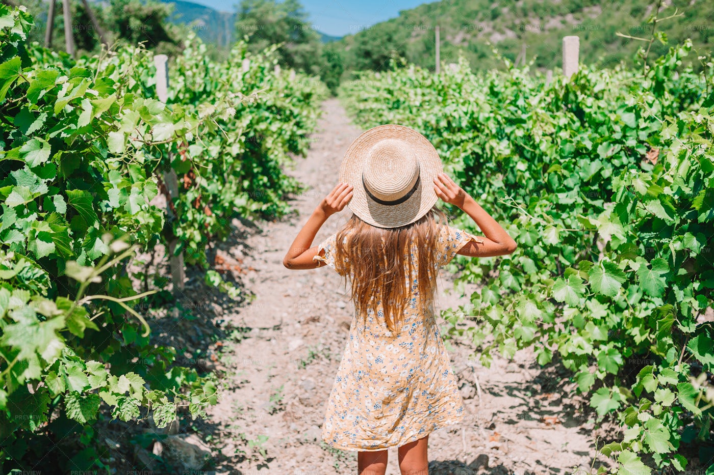 Girl In Vineyard: Stock Photos