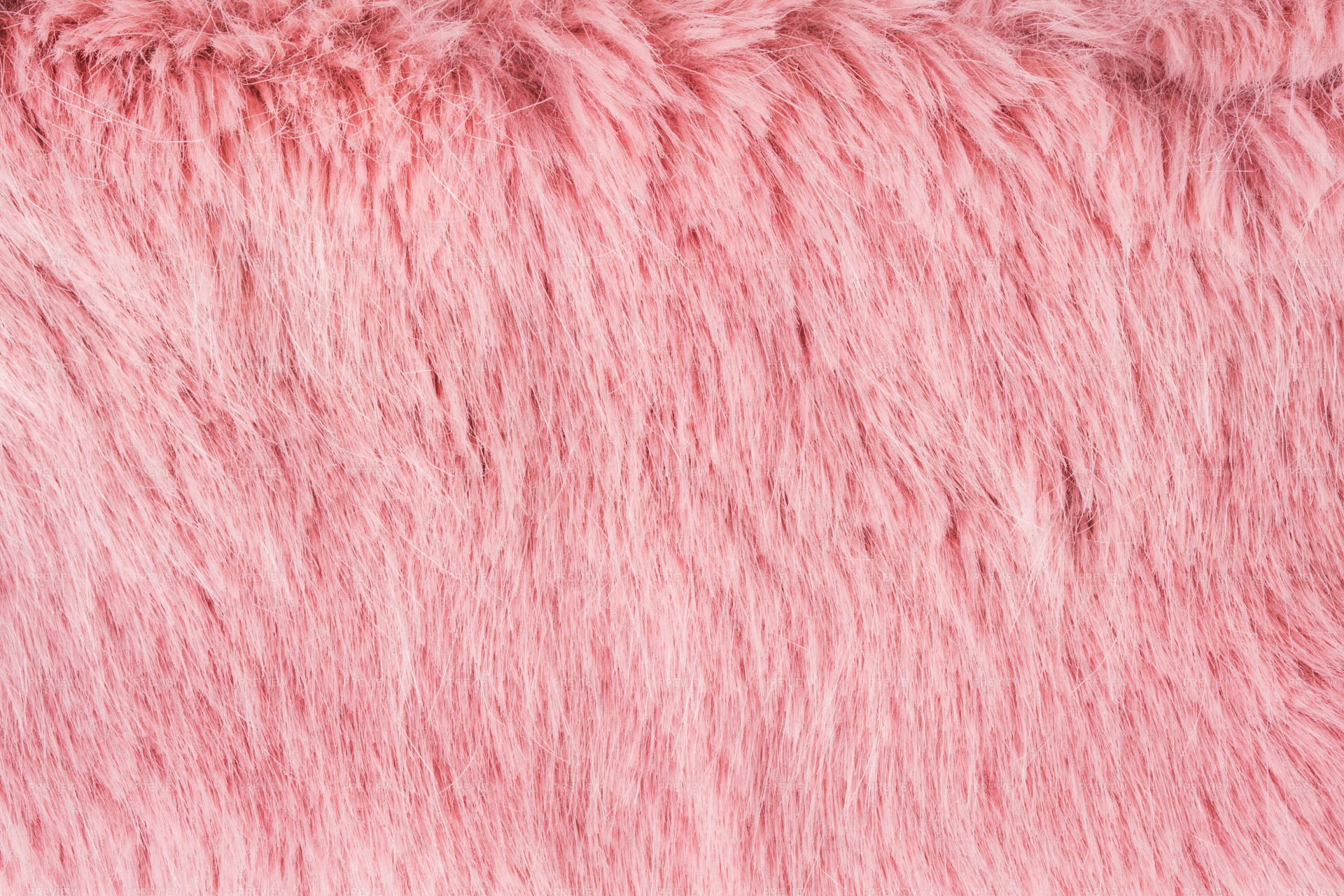 Pink Faux Fur Texture Stock Photos Motion Array