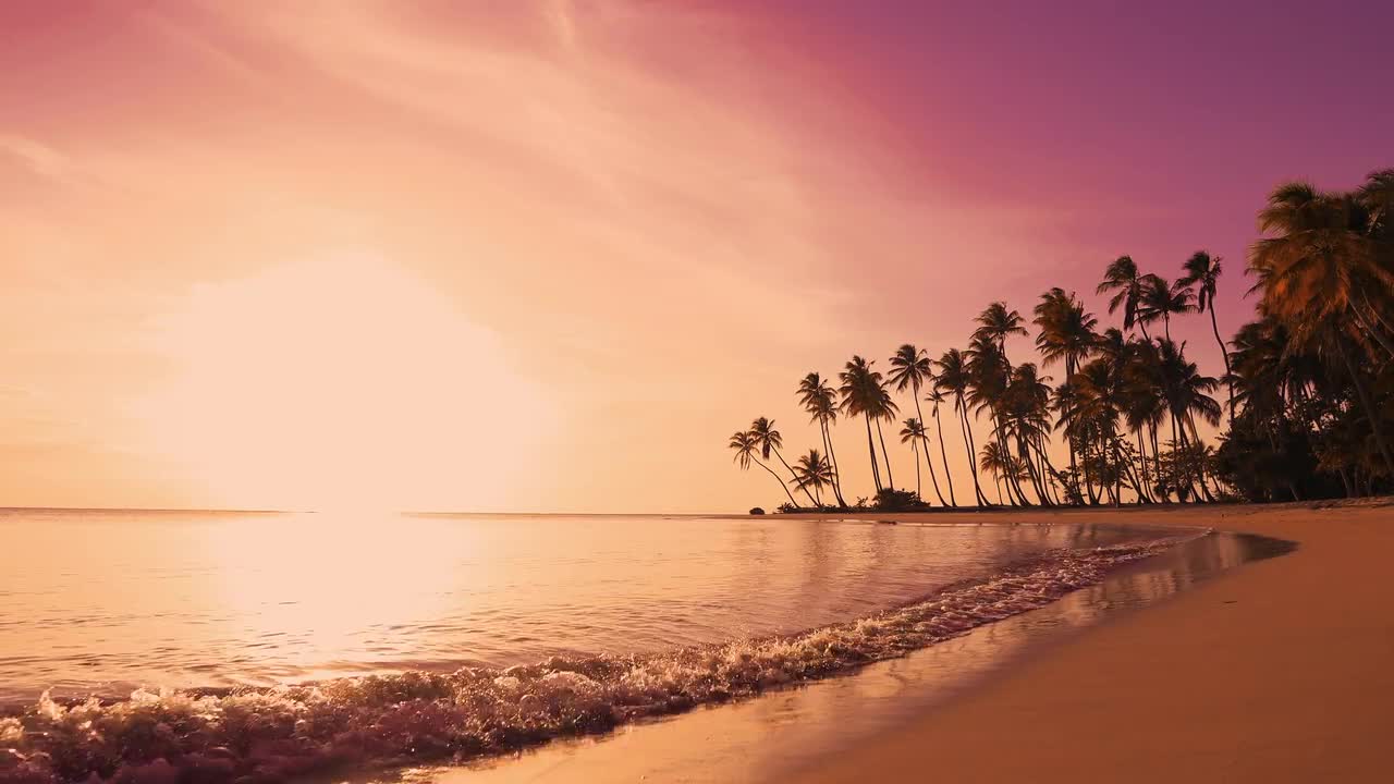 Tropical Beach Pink Sunset Background - Stock Video | Motion Array