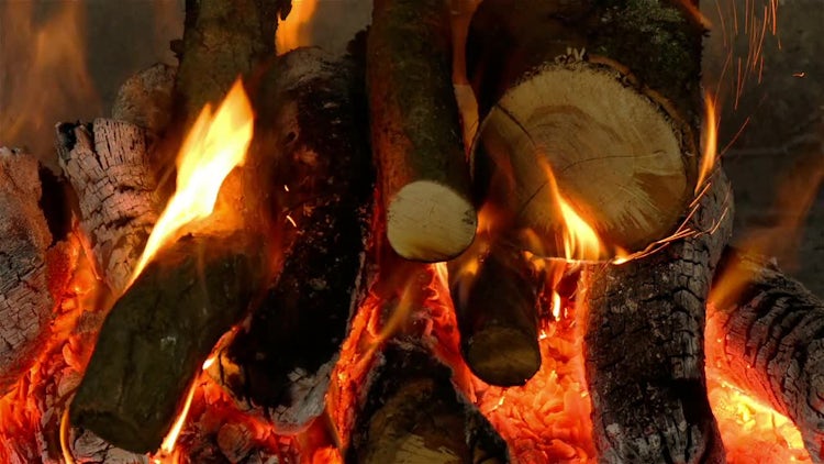 Firewood Burning: Stock Video