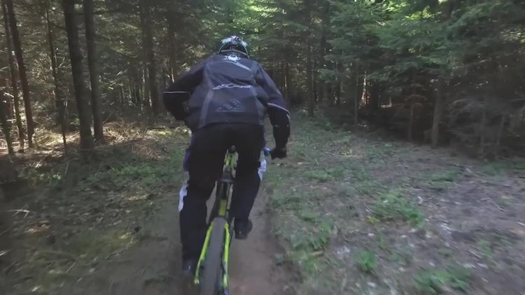 Biker Cycling In The Forest: Stock Video