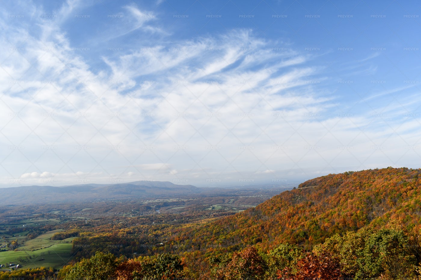 Shenandoah Valley Mountain Forests: Stock Photos