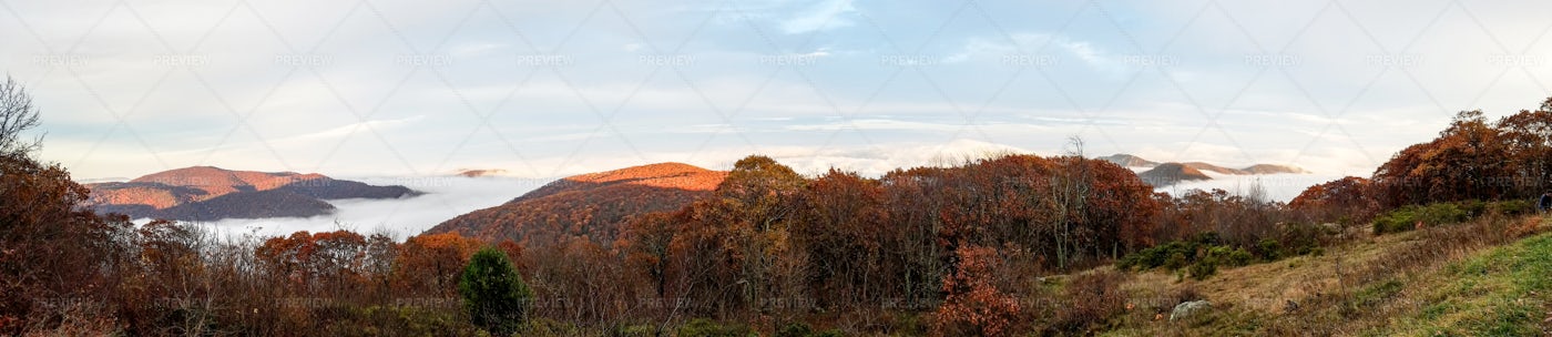 Panorama Of The Shenandoah Valley: Stock Photos