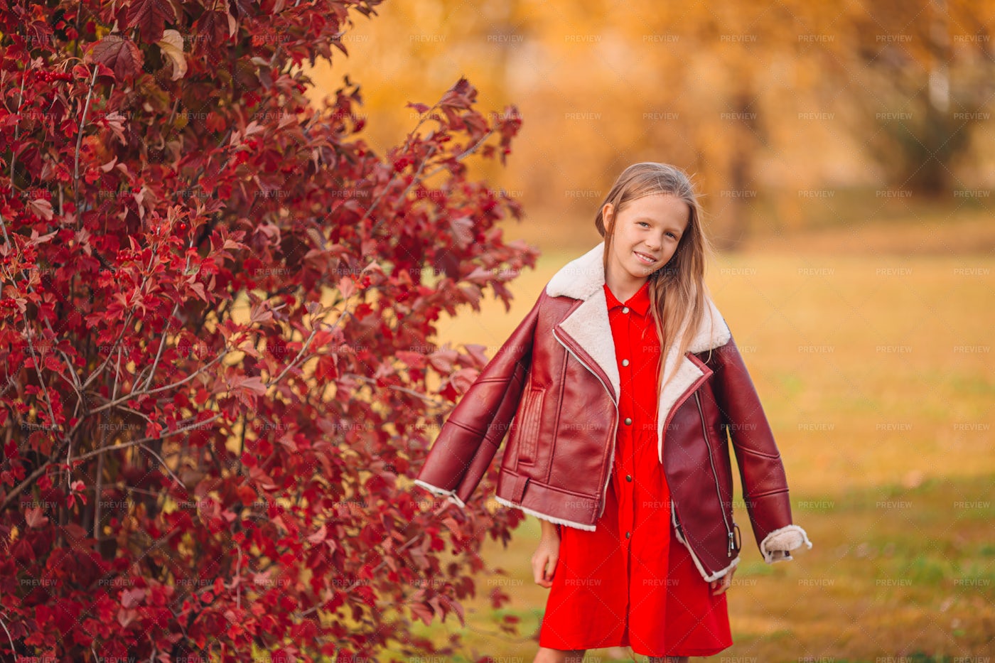 Girl In Autumn Park: Stock Photos