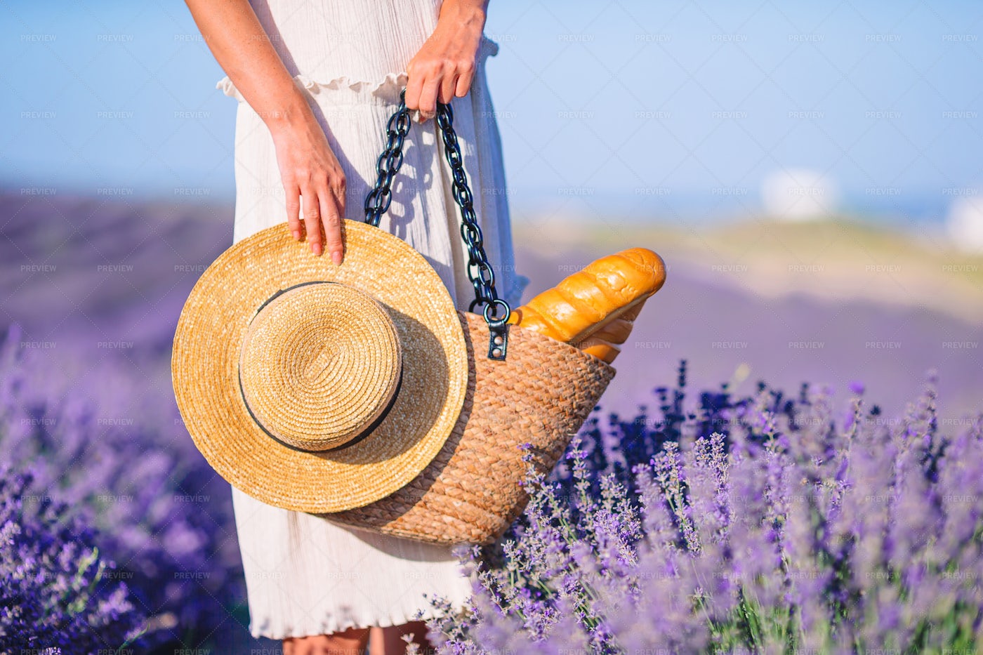 Bag And Hat Amongst Lavenders: Stock Photos