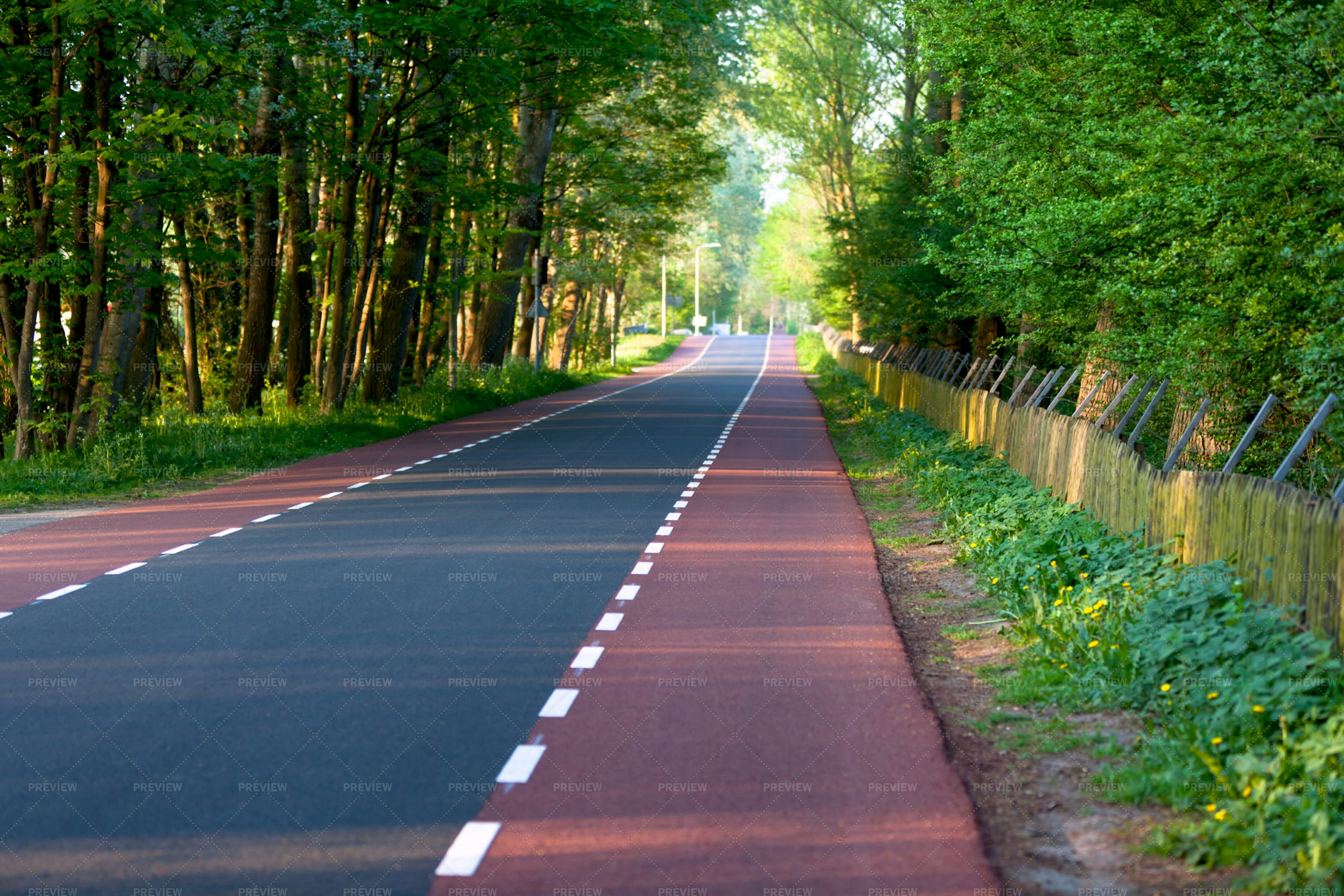 Empty Road With Bike Paths - Stock Photos | Motion Array
