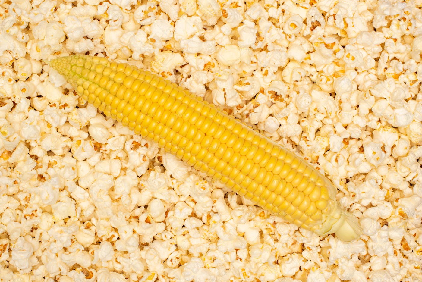Corn Atop Popcorn: Stock Photos